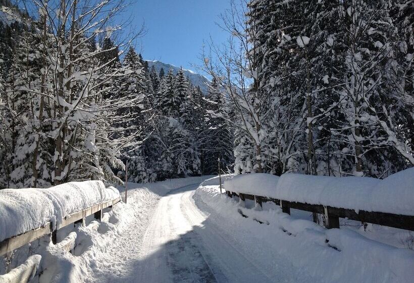 Aparthotels Berwang, Haus Cornelia En Haus Wiesengrund