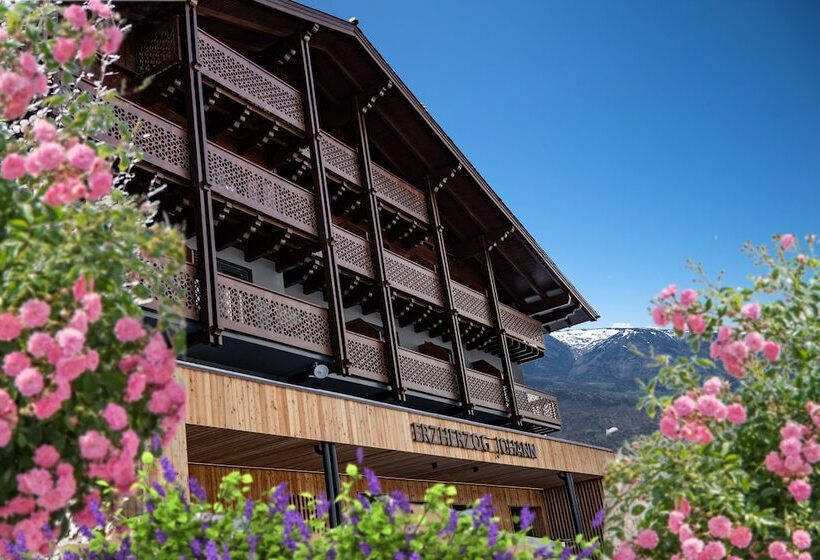 Erzherzog Johann Alpin Style Hotel   Adults Only