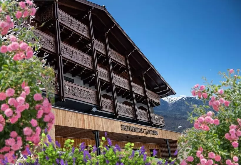 Erzherzog Johann Alpin Style Hotel Adults Only
