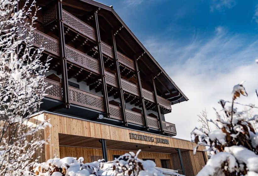 Erzherzog Johann Alpin Style Hotel   Adults Only