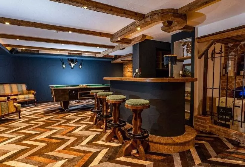 Erzherzog Johann Alpin Style Hotel Adults Only