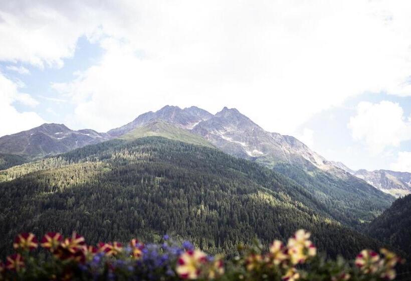 هتل Alpina Superior