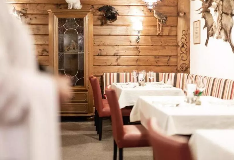 Hotell Alpina Superior