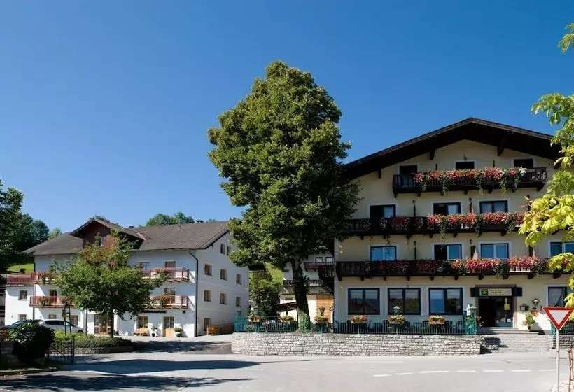 ホテル Gasthof Goldener Stern