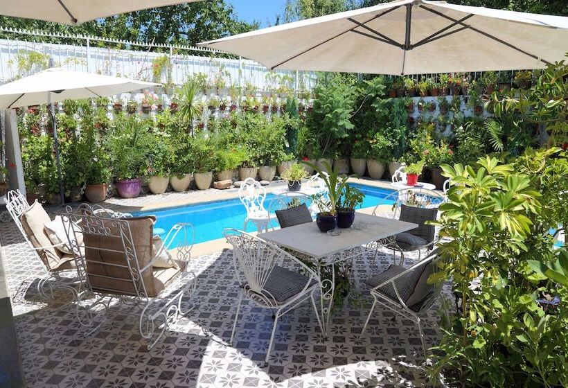 هتل Boutique Vendimia Premium