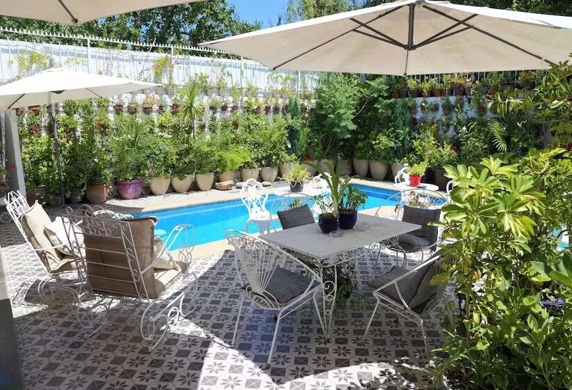 هتل Boutique Vendimia Premium