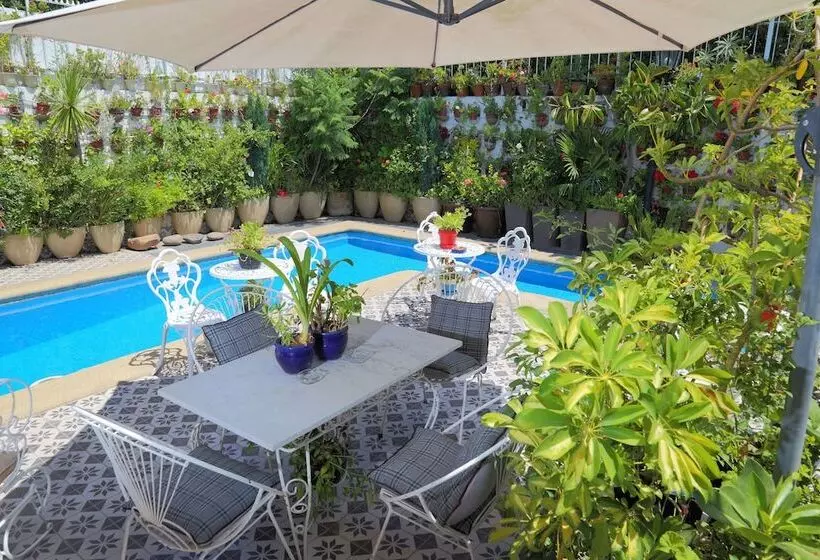 هتل Boutique Vendimia Premium