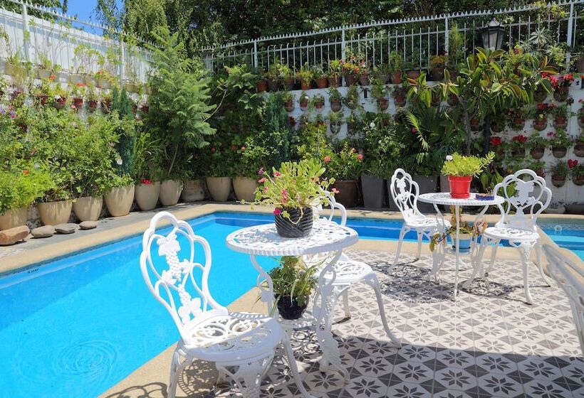 هتل Boutique Vendimia Premium