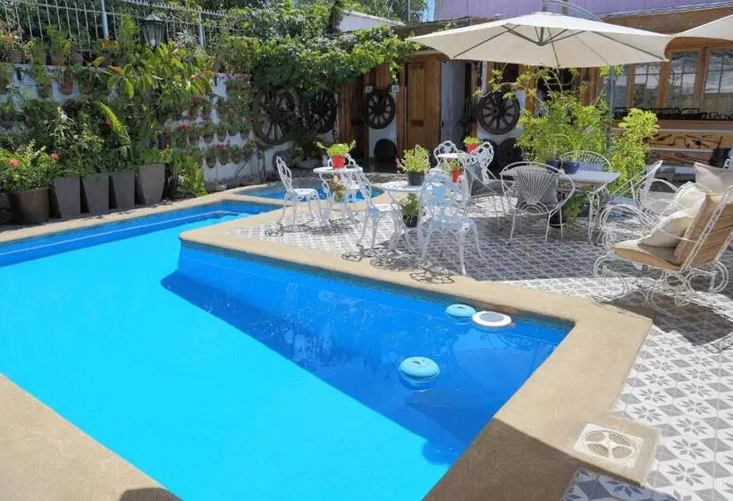 هتل Boutique Vendimia Premium