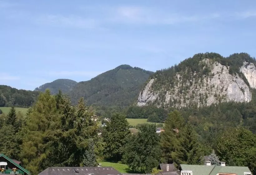 酒店 Garni Schernthaner