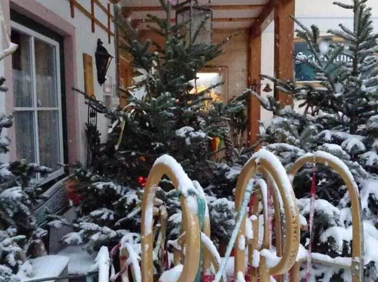 酒店 Garni Schernthaner