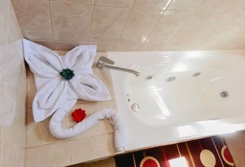 Hotel Iorana Tolache