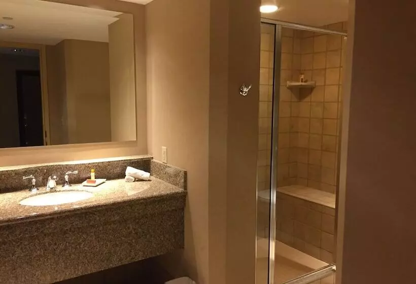 Isle Casino Hotel Waterloo