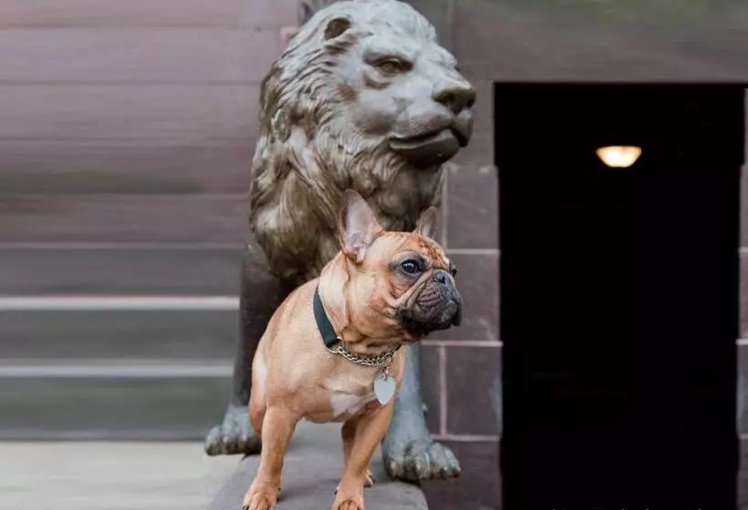 Hotelli The Mansion On O Street