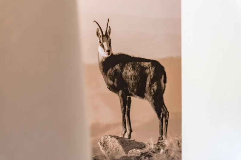 فندق Zum Gourmet