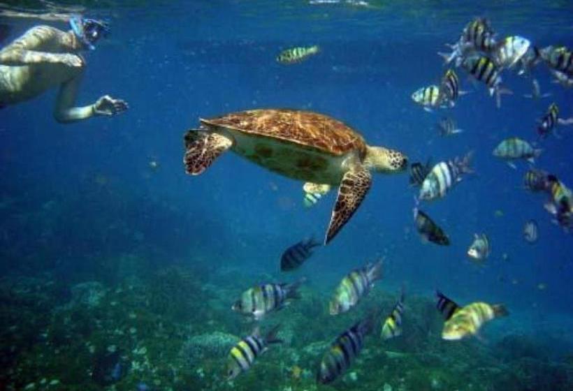 Sanctuary At Redfish 1116