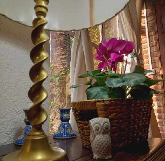 Hostel Los Azahares De Tigre