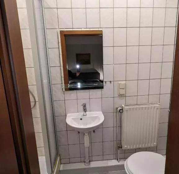 Aamiaismajoitus (B&B) Gasthaus Zum Goldenen Roß