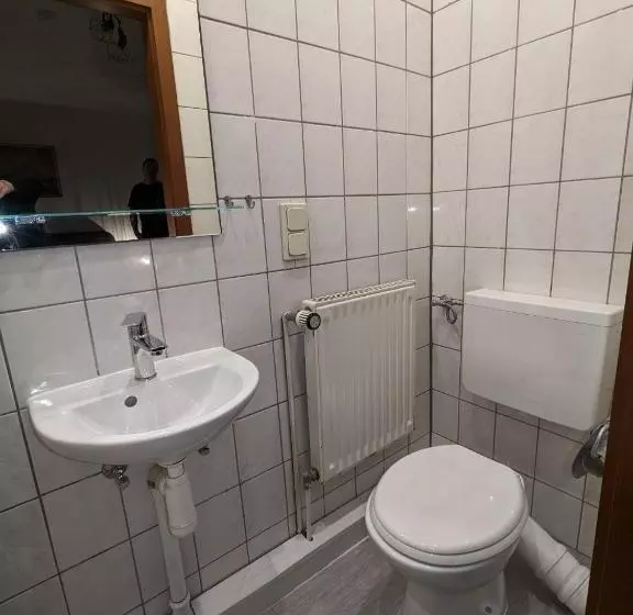 Aamiaismajoitus (B&B) Gasthaus Zum Goldenen Roß