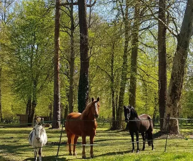 Aamiaismajoitus (B&B) Les Sabots Du Parc