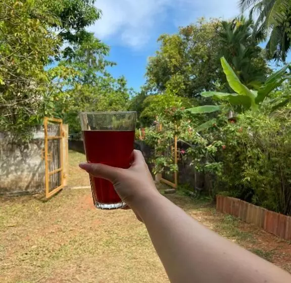 ベッドアンドブレックファースト Om Yoga Shala Beruwala