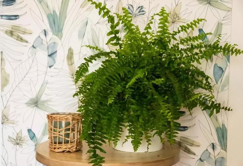 Majatalo Les Gîtes D Halatte