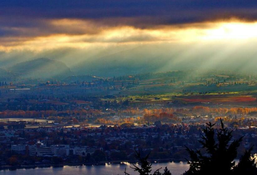 צימר Honeymoon Suite