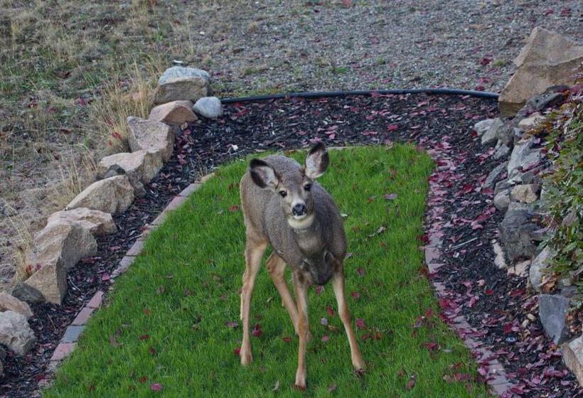 צימר Honeymoon Suite