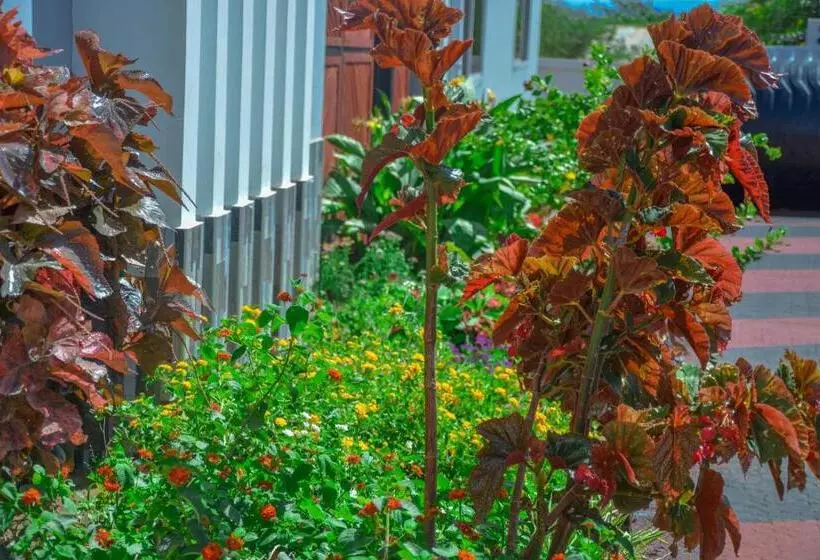 Hotel Johnsons Villas