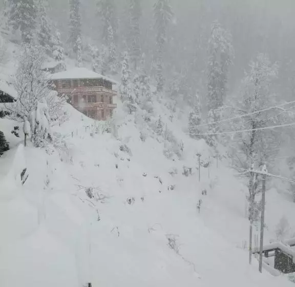 Odin Hostel Shoja