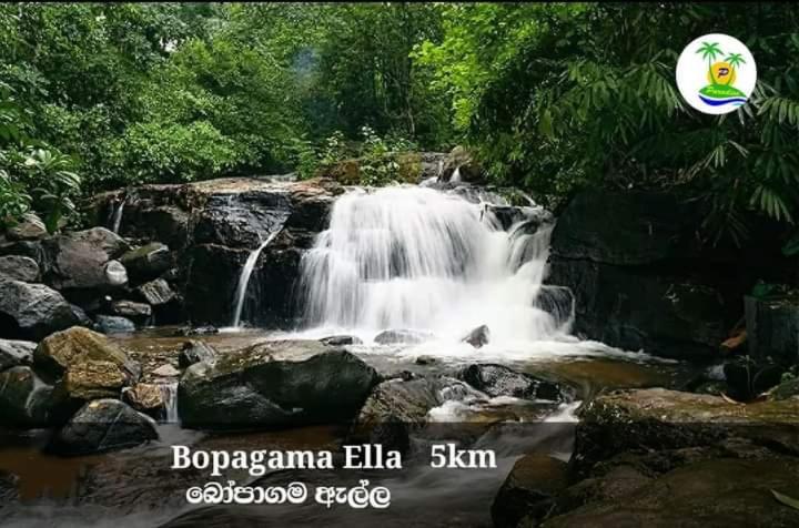 بنسيون Paradise Villa