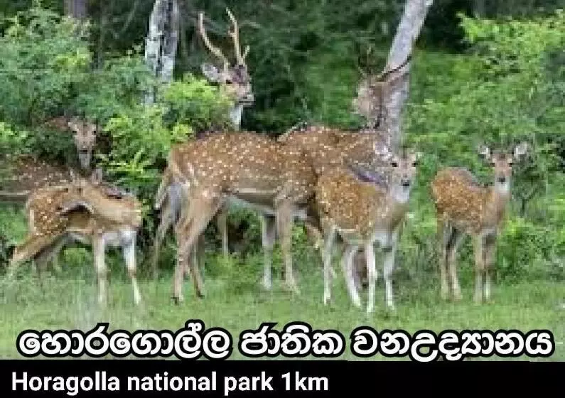 ペンション Paradise Villa