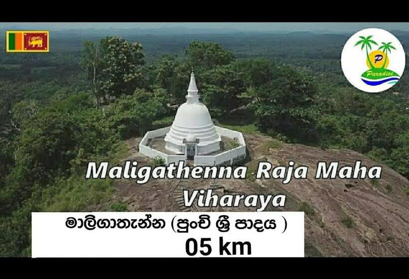 بنسيون Paradise Villa