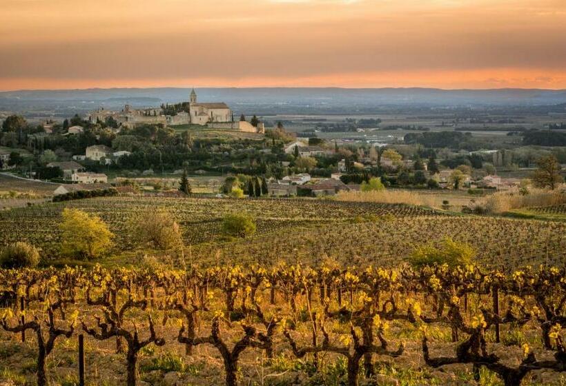 B&b Bacchus Grotto With Only 1 Suite 45m2, Plunge Pool & Jardin Privé