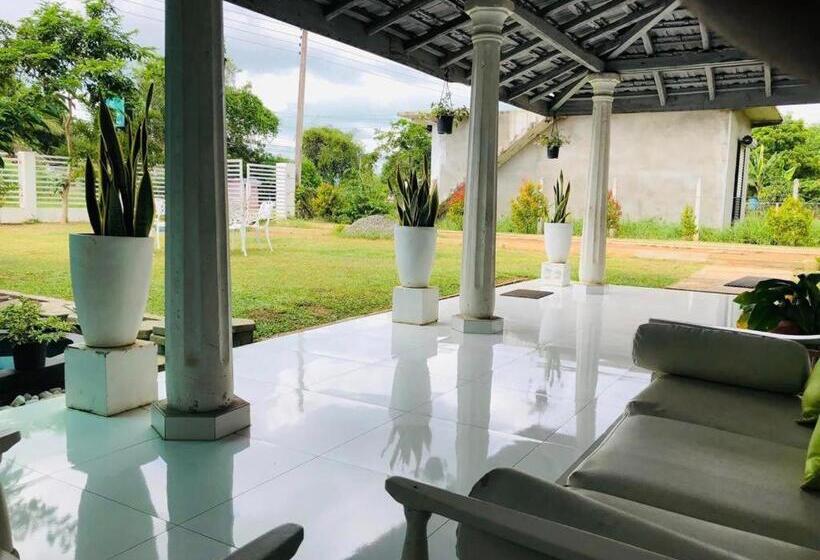 بنسيون Castile Inn