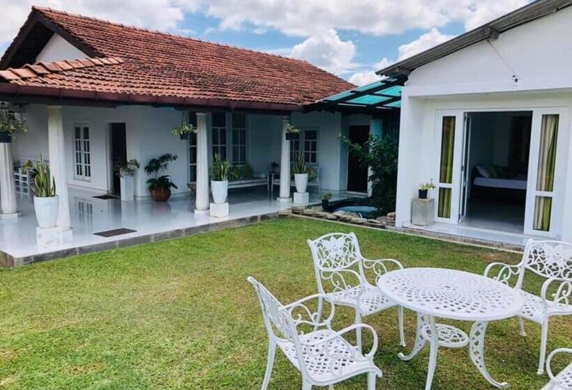 بنسيون Castile Inn