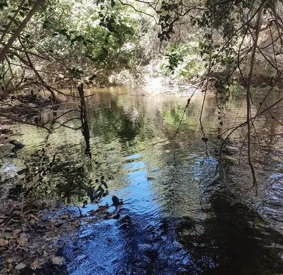 ペンション Pousada Sempre Luz