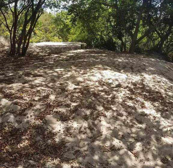 ペンション Pousada Sempre Luz