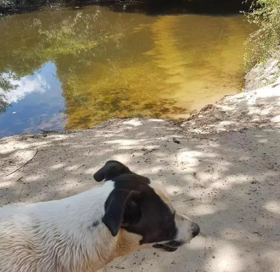 ペンション Pousada Sempre Luz