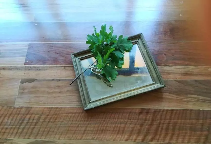 Aamiaismajoitus (B&B) Entre Nous