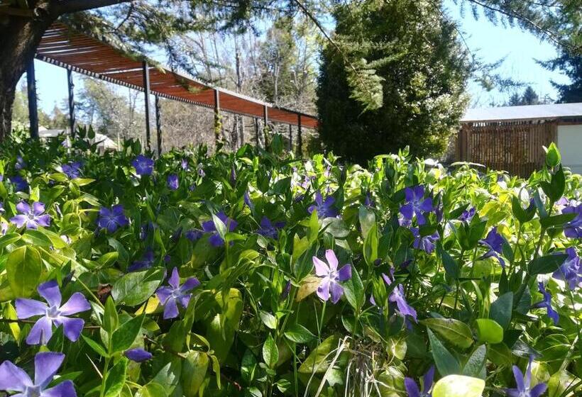 تختخواب و صبحانه Entre Nous