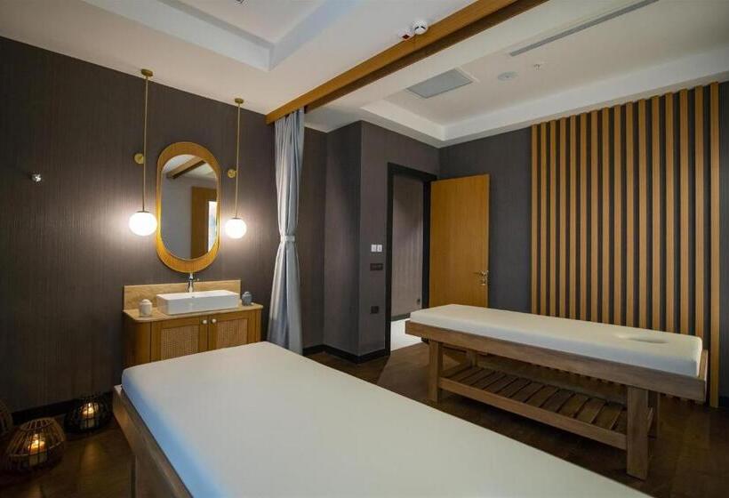 هتل Crowne Plaza Ankara, An Ihg