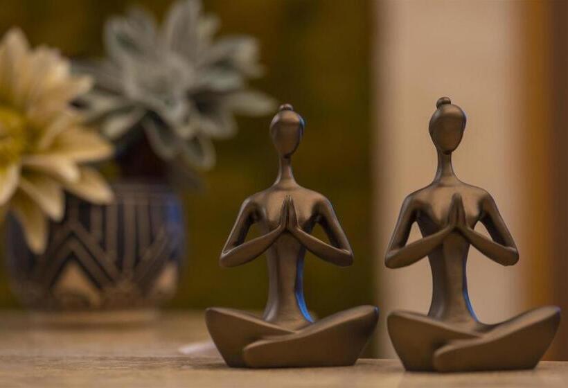 هتل Crowne Plaza Ankara, An Ihg