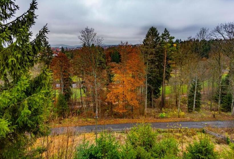 Pensão Jägerhaus Donaueschingen