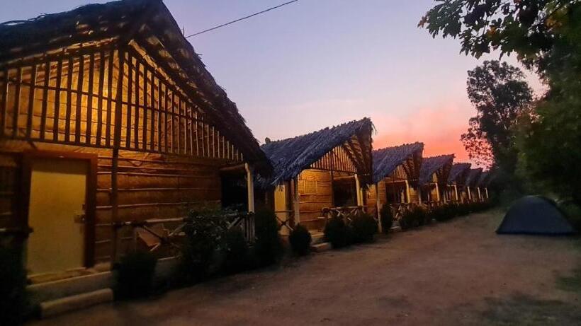 بنسيون Lazy Panda