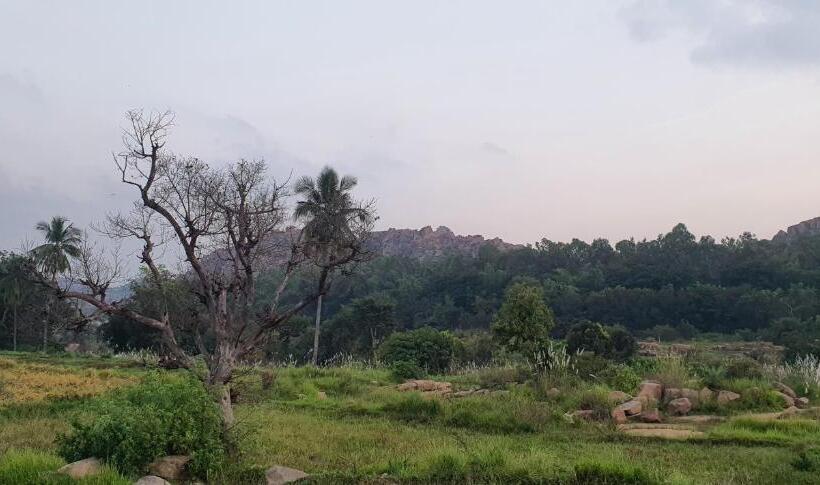 بنسيون Lazy Panda