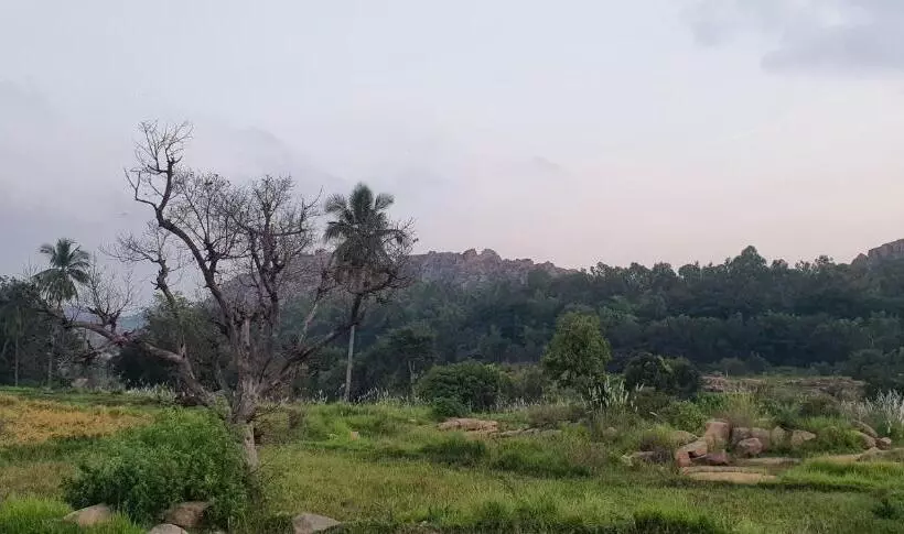 ペンション Lazy Panda