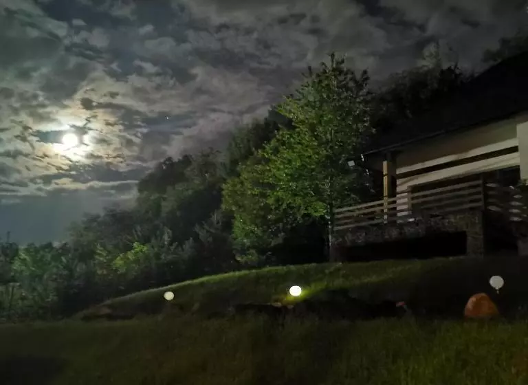 ホテル Provence Suceava