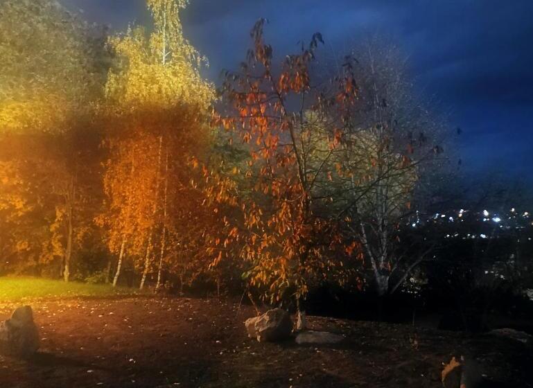 هتل Provence Suceava