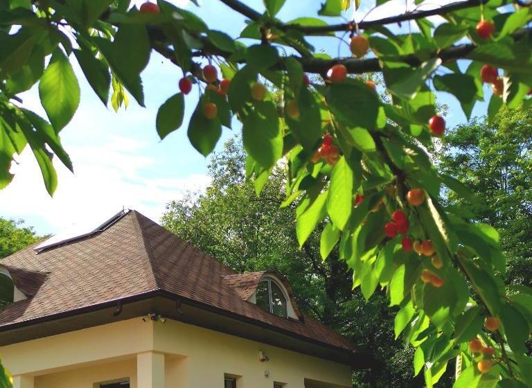 هتل Provence Suceava